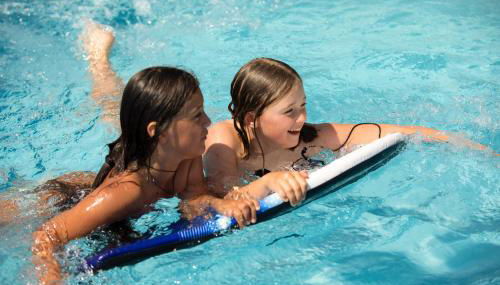 Obstbauernhof Bundschuh - Dogs welcome - Photo 4