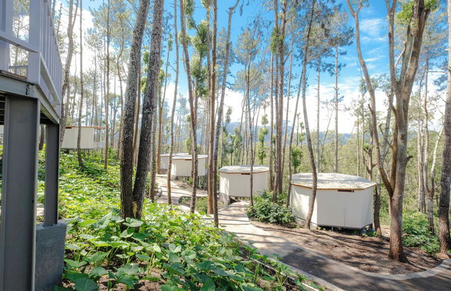 La Pino Mount Batur and Hot Spring - Foto 34