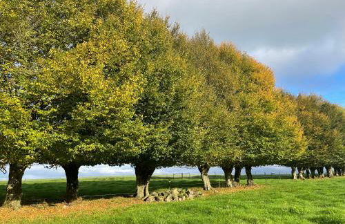 La Brossière - Foto 30