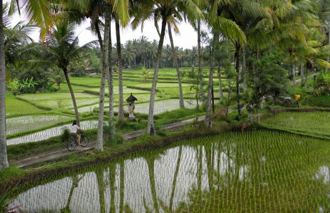 Satori Villas Bali - Foto 54