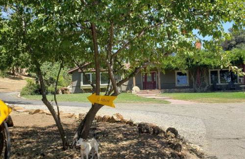 The Couple's Cabin in Wynola 2 NIGHT MINIMUM - Foto 56