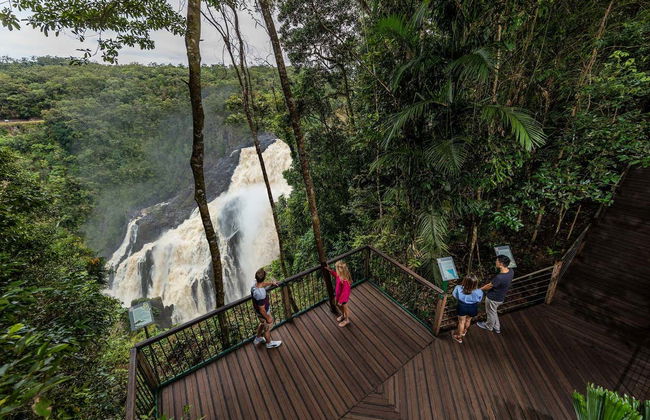 Excursión a Cattana y las cataratas del Barron + Skyrail Rainforest - Foto 5