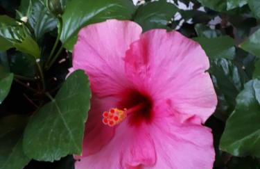 Casa di Giulia (Bambini gratis fino a 6 anni) - Foto 31