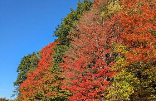 Harbor Breeze - Foto 22