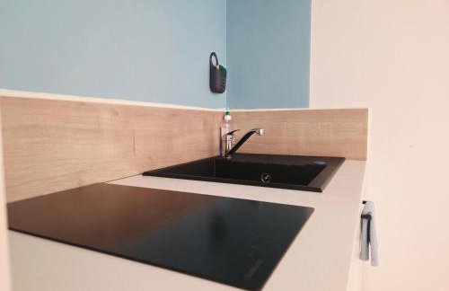 LOU PITCHOUN - Jacuzzi SPA Privé - Vignes - Proche ALBI et CORDES - Foto 6