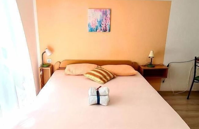 Olive Garden Apartments Petrovic - Foto 4