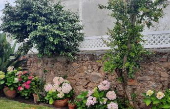 Casa Vitorino's - Foto 10