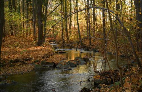 Holiday Home Jägerhaus by Interhome - Foto 23