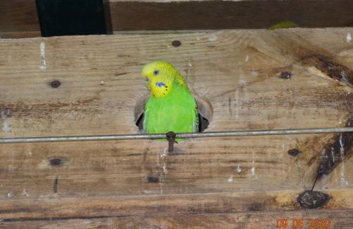 Agriturismo Fieri - Foto 41