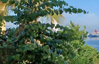 Seaview Luxury Apartment with private parking - Photo 39