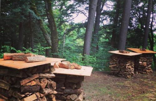 Unique Ski Rental in Berkshires Charlemont Near Hawley State Forest, Plainfield, Western Massachusetts - Foto 61