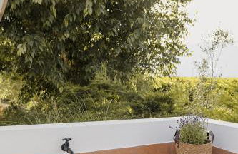 Mas d'en Jan - Foto 15