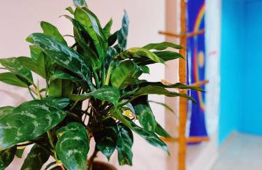 Studio Aurora - Recife - Foto 16