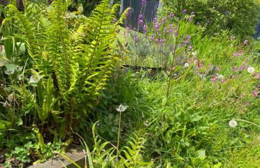 Cedar Lodge - Photo 25