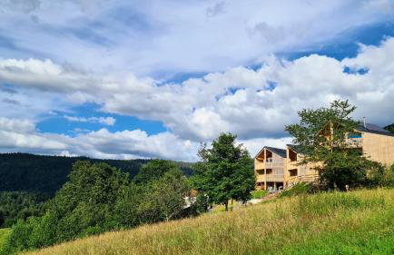 Schwarzwalddeck Deckhäuser - Foto 38