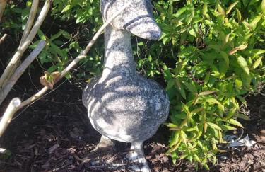 The Burrow, a Spacious Bungalow in Heart of NI - Foto 52