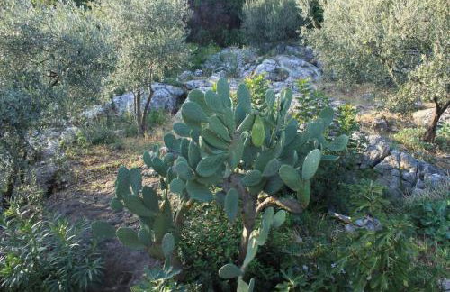 Apartment Iva - Photo 19