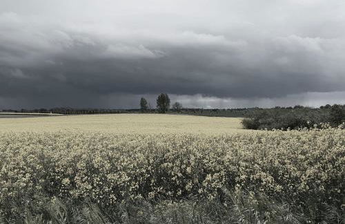 Apartment Landhaus Müritzliebe by Interhome - Foto 21