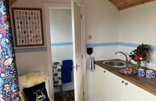 Wee Shepherds Hut Maybole - Foto 9