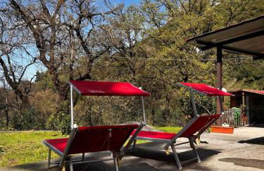 villa Cycas - Foto 6