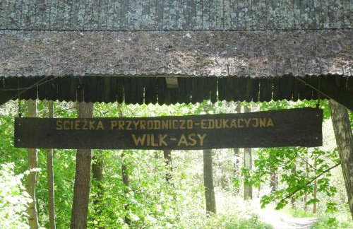 APARTAMENT WILKASY II (k. Giżycka ) - Foto 34