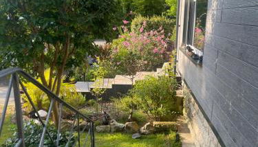 Un jardin en forêt - Foto 5