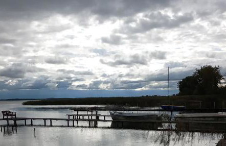Fischstübchen Neeberg Apt 1 – Wald und Wiese - Foto 31