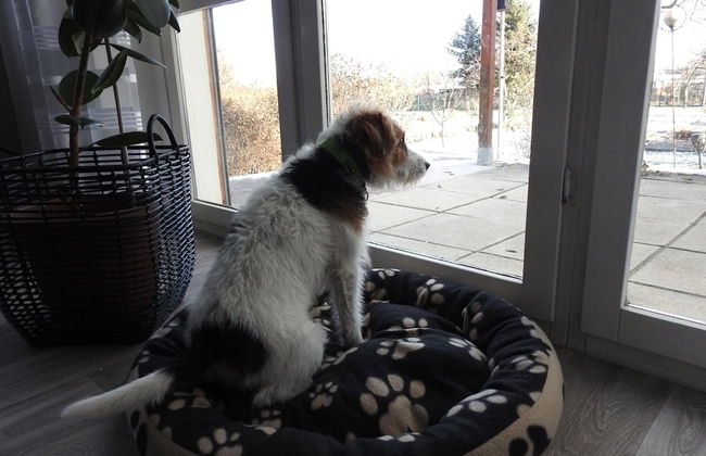 Family-friendly Escape - Photo 23