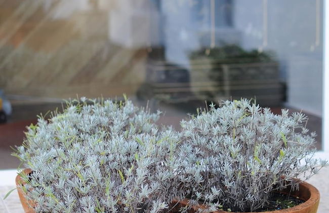 Apartamentos Noray - Foto 14