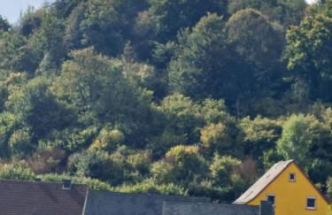 Ferienwohnung Anna Gerolstein - Foto 10