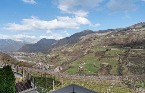 New Opening Vinea Guesthouse - Foto 38