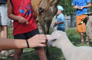 Domaine du Bas Chalus - Foto 19