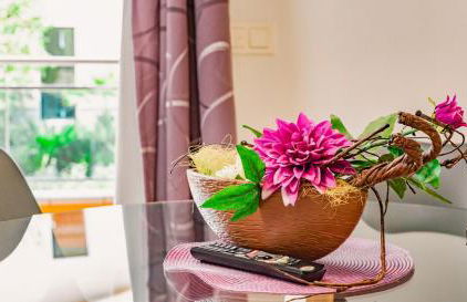 Parrot’s House - Foto 42