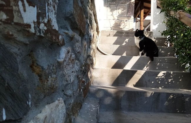 Petrino1880 Sea-vacation Apartment in Chalkidiki - Foto 38