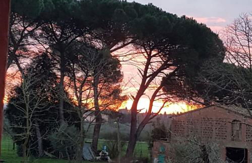 Casa Angelina Altopascio Lucca - Photo 2