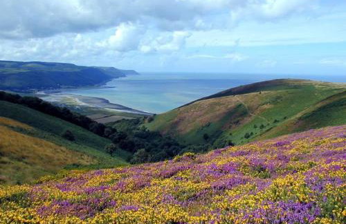 Elmhut Shepherd's Hut with Hot Tub - Foto 28