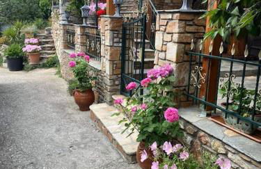 IslandTime Studio1 - Photo 1