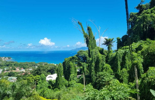 Wild Vanilla Apartment - Photo 48