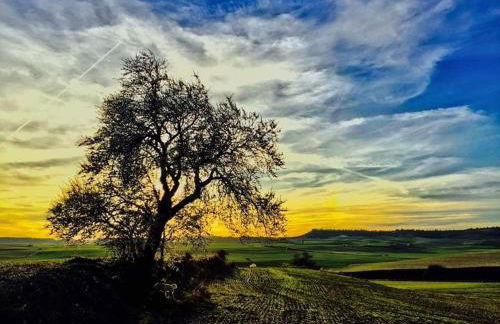 El Rincón del Alma Mía - Foto 32