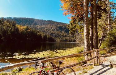 Haus Sonnenblick - Foto 22
