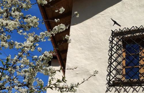 Ansitz Lidl - Foto 30