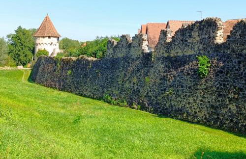 Le Nid Douillet de Bergheim - Foto 6