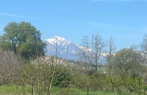 Adamasseria - Foto 12