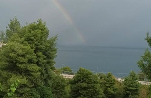 Thalantheia House - Photo 28