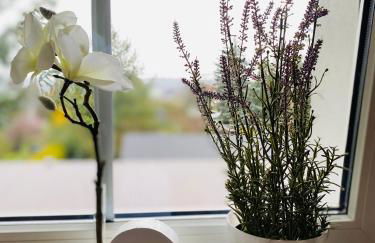 Ferienwohnung Bautzenblick - Foto 18