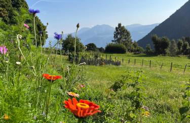 Berg Apartment Vajolet - Unterweger Berg Apartments - Foto 12