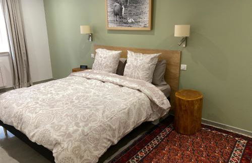 Logement de charme dans un monument historique daté de 1544, au centre de Haguenau - Photo 18