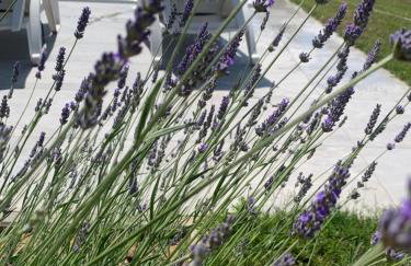 Tony's house in garden - Photo 26