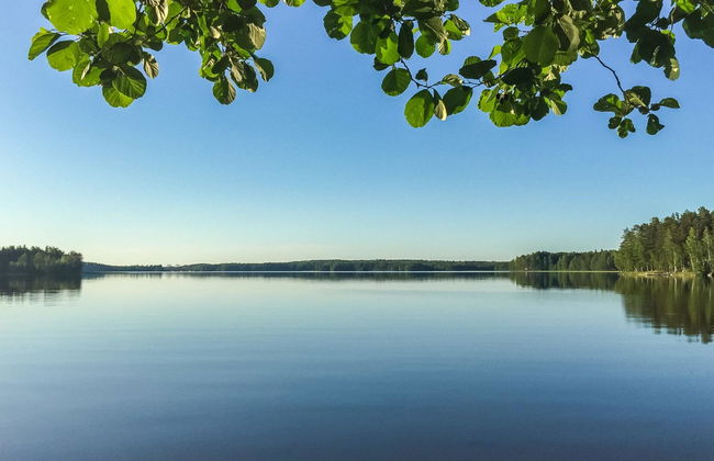 Kettukallio - Foto 27