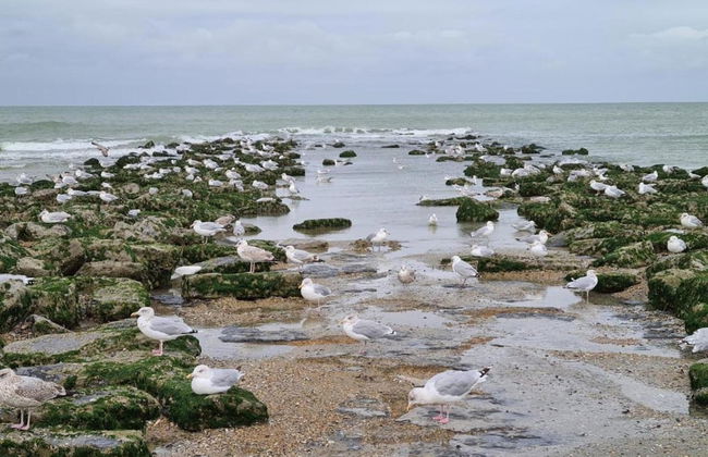 Apartment on Zeedijk With Stunning Sea View - Foto 31